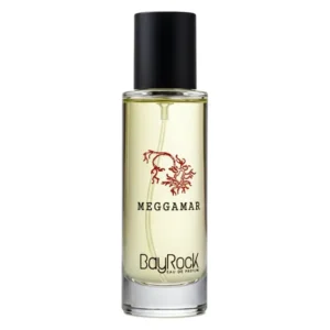 ادوپرفیوم مردانه بایراک مدل Meggamar حجم 35 میل
